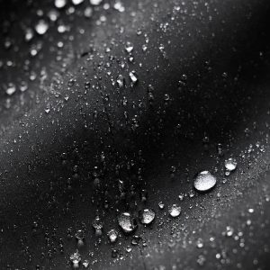 Windproof Jacket - Image 6